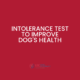 Order an intolerance test to improve dog's health.