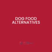 What are the dog food alternatives? Learn more with UK Food Intolerance.