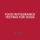 Try food intolerance testing for dogs to see if UK Pet Food Intolerance can help!