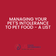 Managing your pet's intolerance to pet food with an intolerance test for pets.
