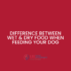 What is the difference between wet and dry pet food when feeding your dog?