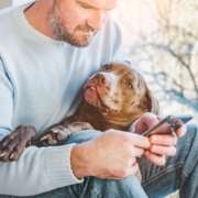 Pet food intolerances